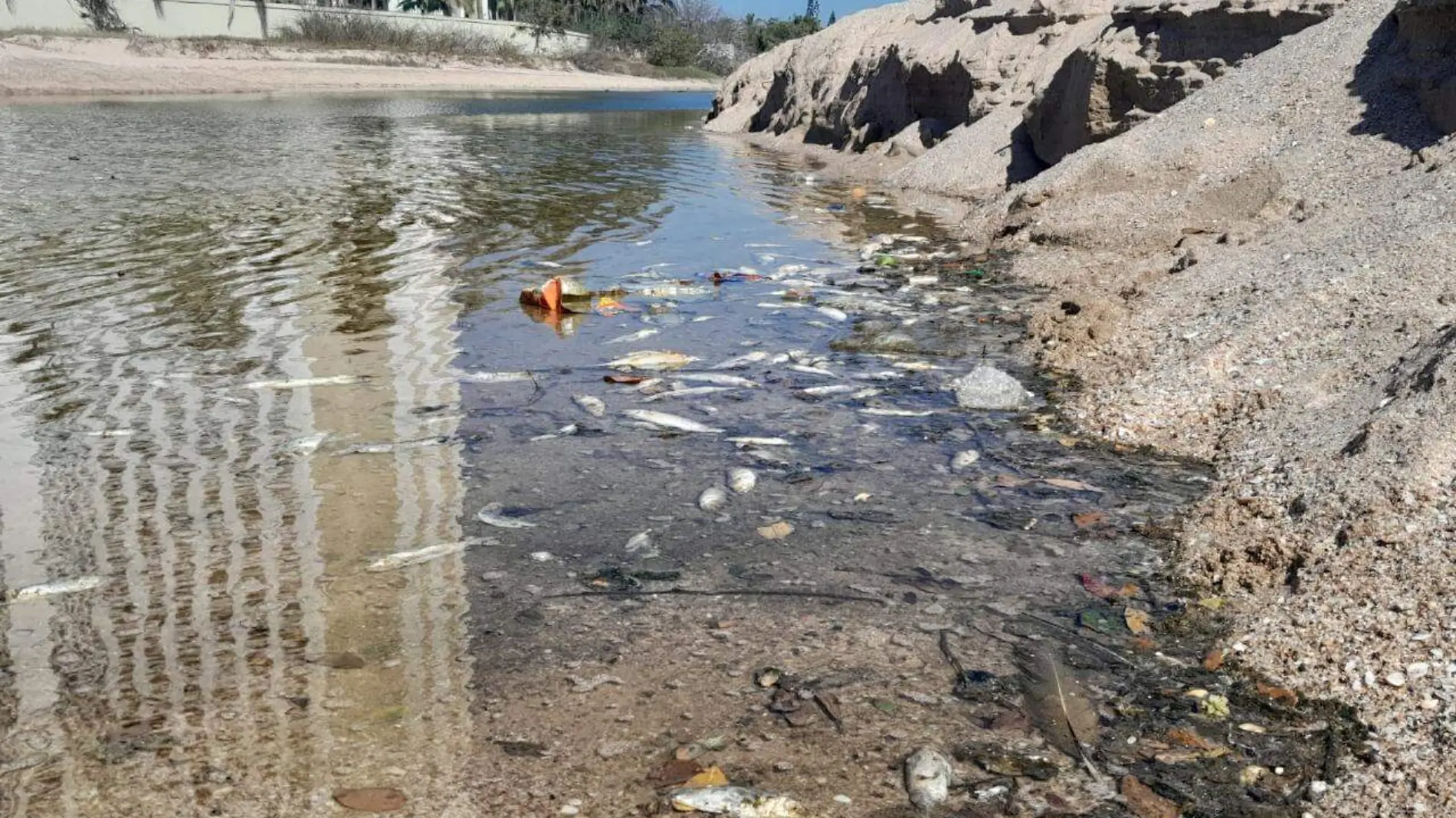 el mal uso de la red sanitaria mazatlan